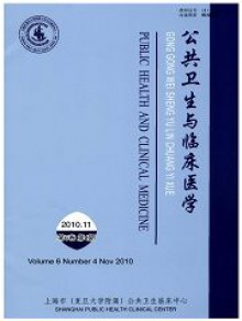 公共卫生与临床医学期刊